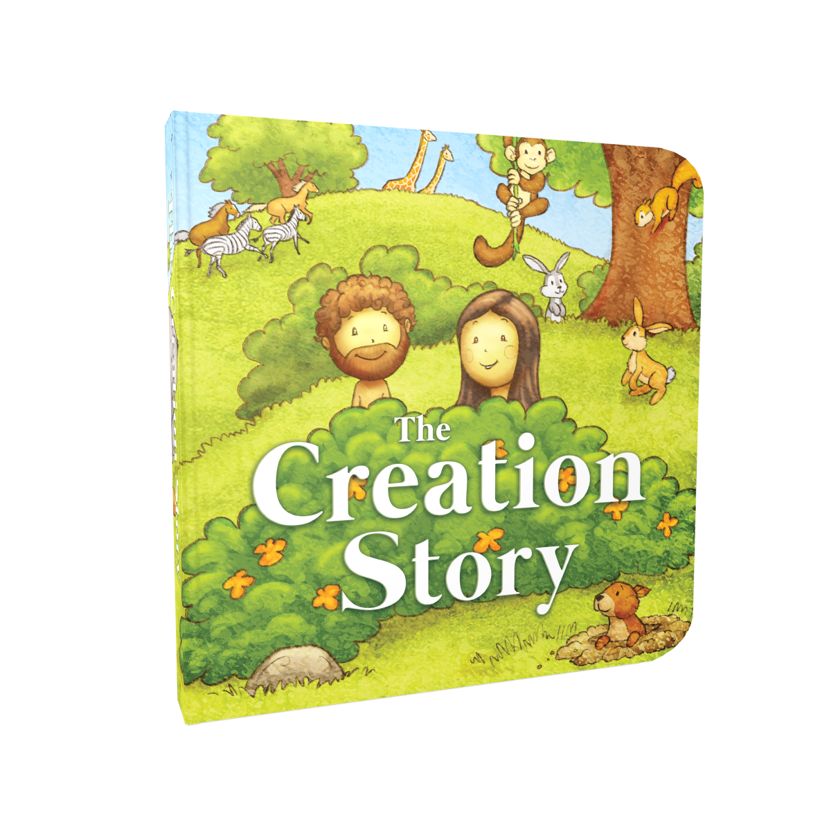 The Creation Story
