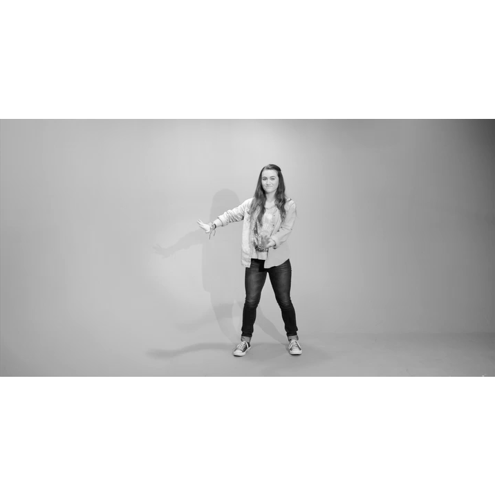 Never Give Up Dance Instructions Video (Download)