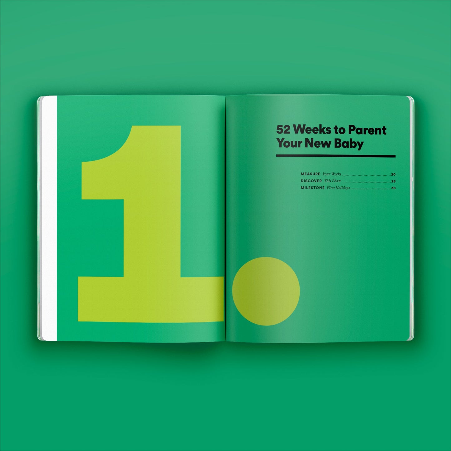 Phase Guide - Parenting Your New Baby: A Guide to Making The Most of the "I Need You Now" Phase