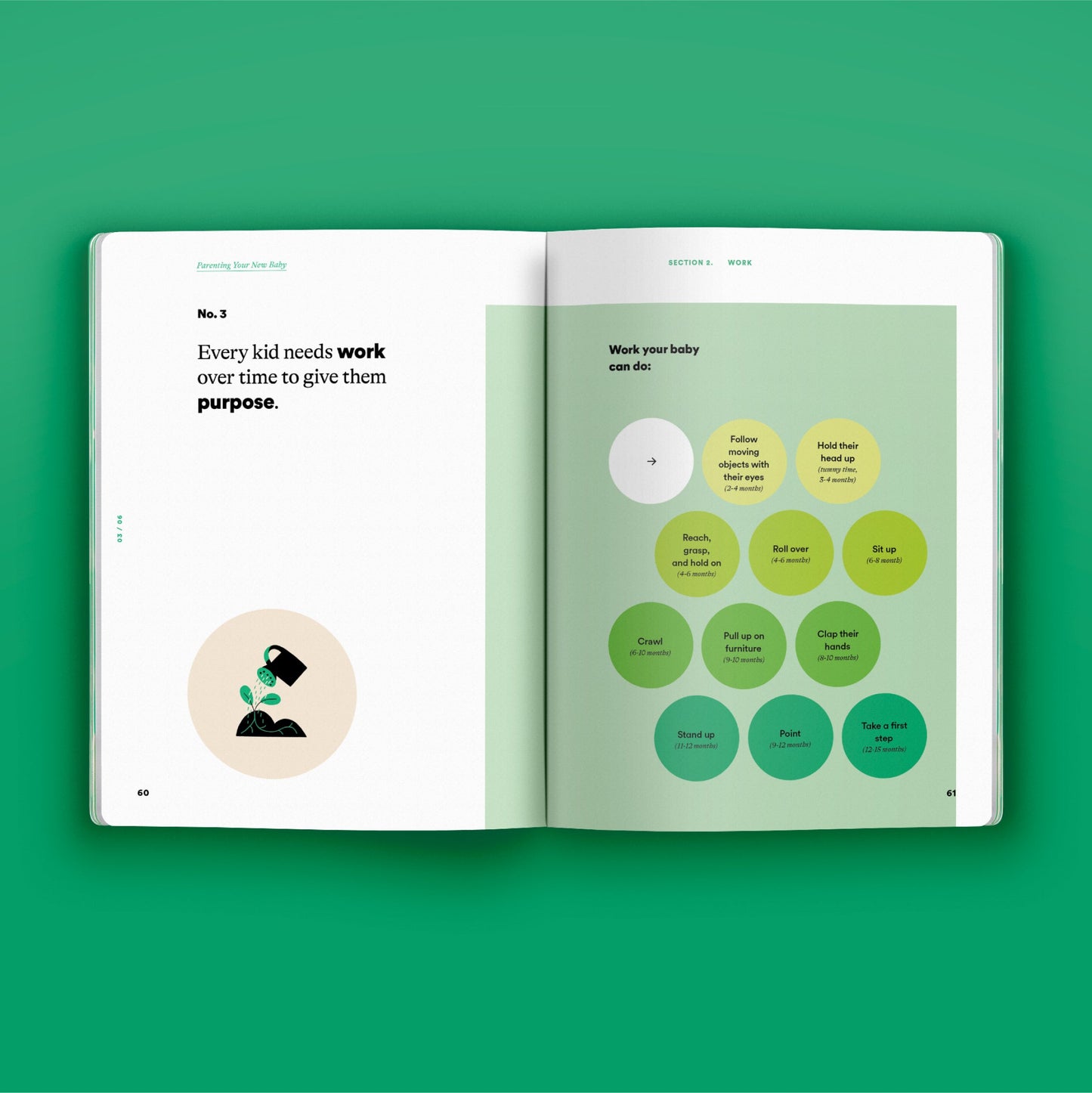 Preschool Phase Guide Bundle - Set of 5 Books