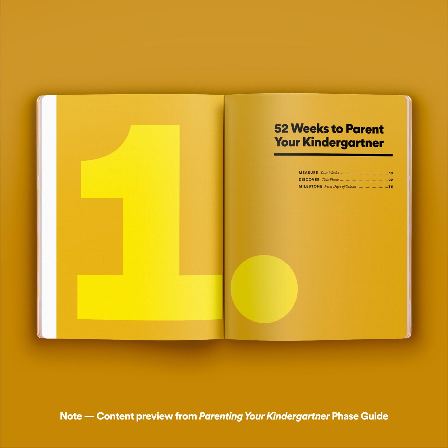 Phase Guide - Parenting Your Fifth Grader: A Guide to Making The Most of the "I've Got This" Phase