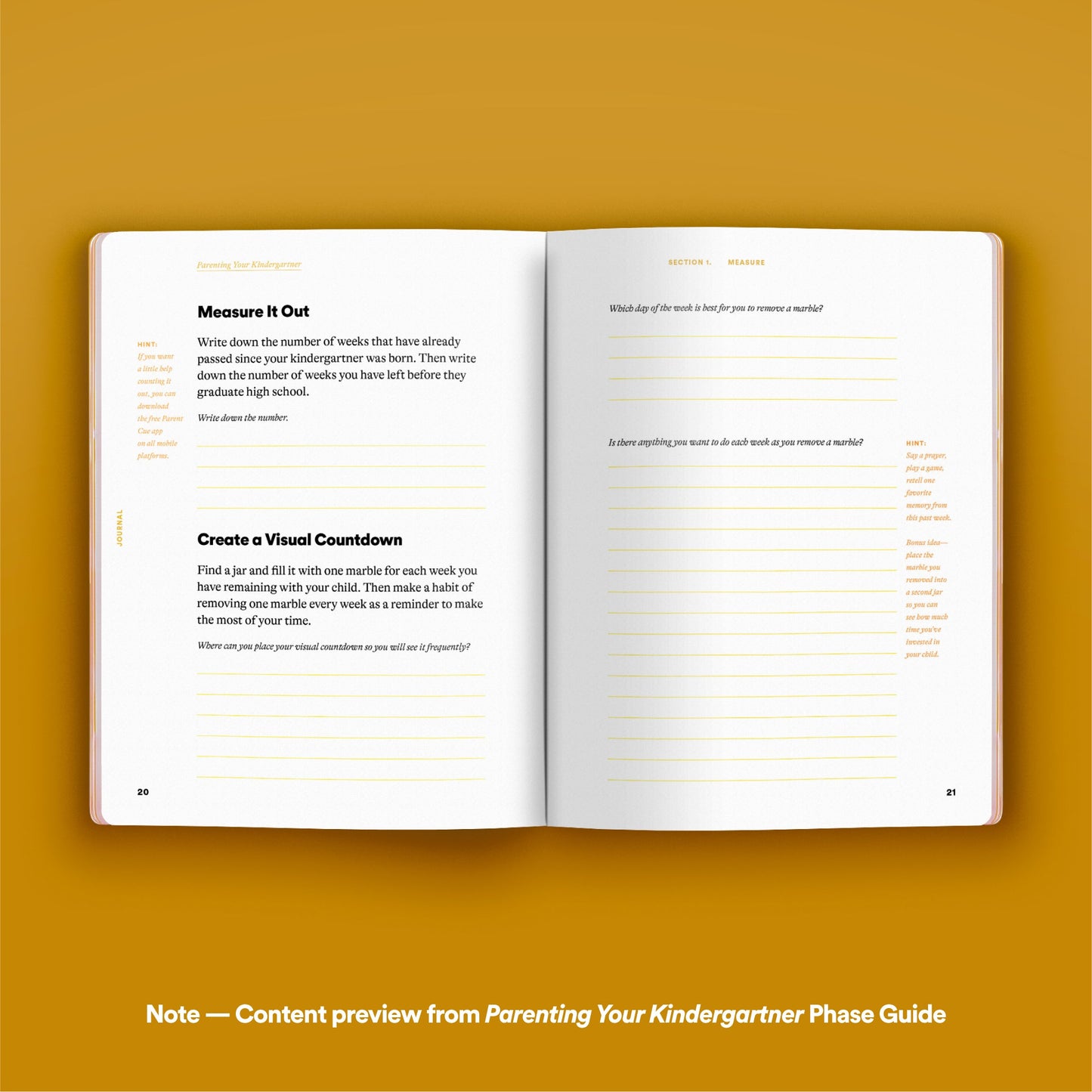 Phase Guide - Parenting Your Second Grader: A Guide to Making The Most of the "Sounds Like Fun!" Phase