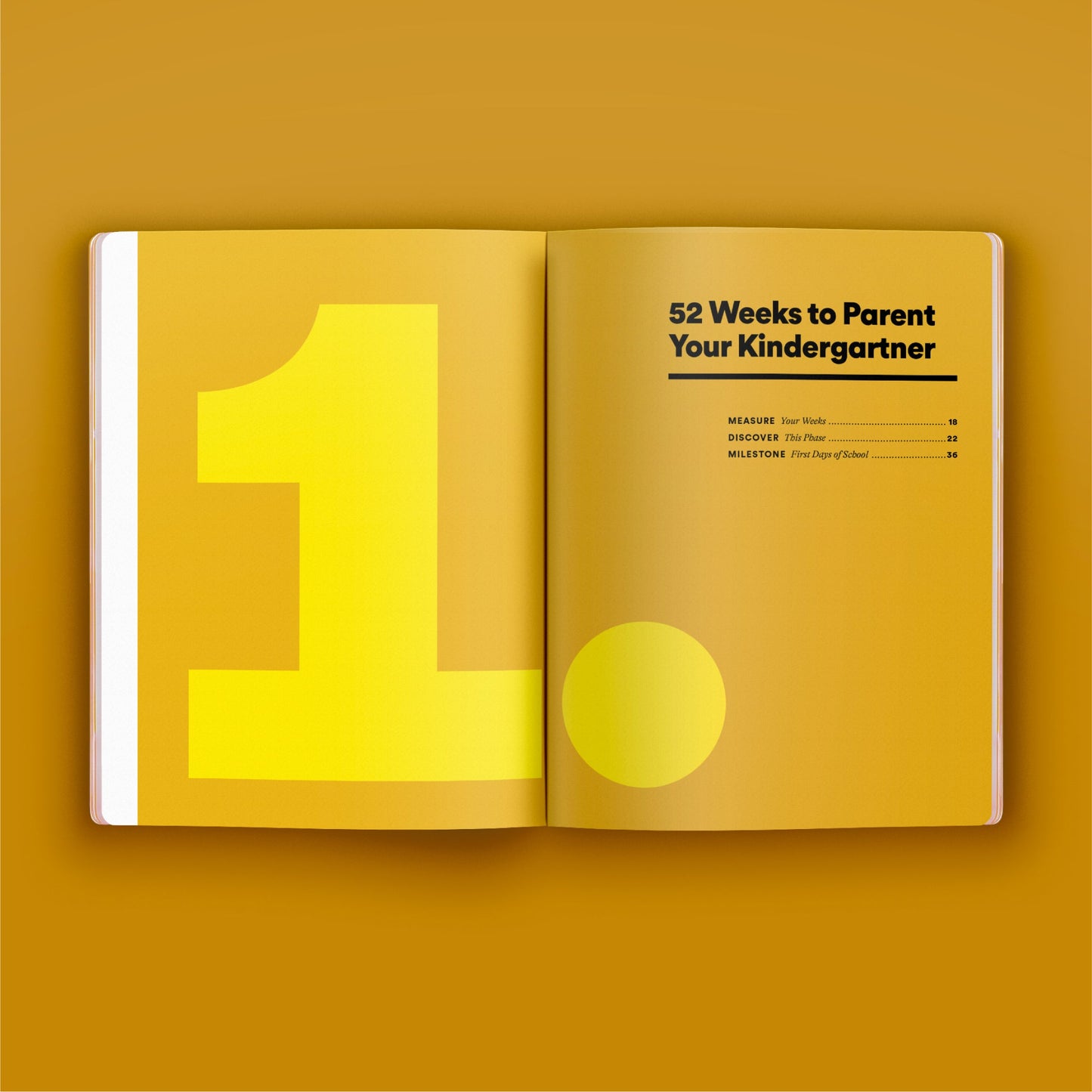 Elementary Phase Guide Bundle - Set of 6 Books