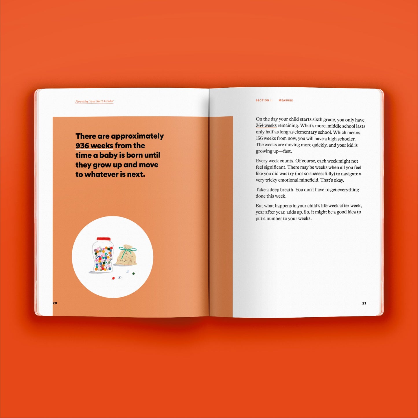 Phase Guide - Parenting Your Sixth Grader: A Guide to Making The Most of the "Who Cares" Phase