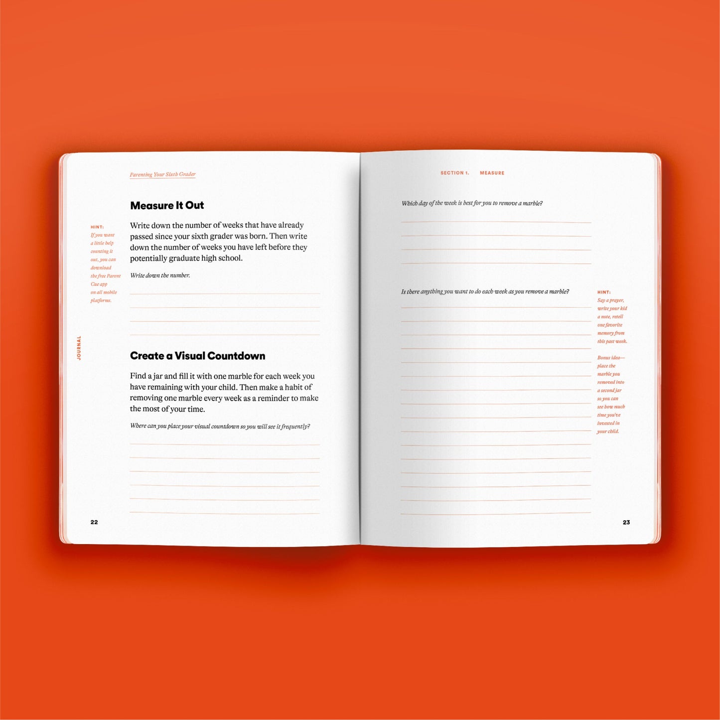 Phase Guide - Parenting Your Sixth Grader: A Guide to Making The Most of the "Who Cares" Phase