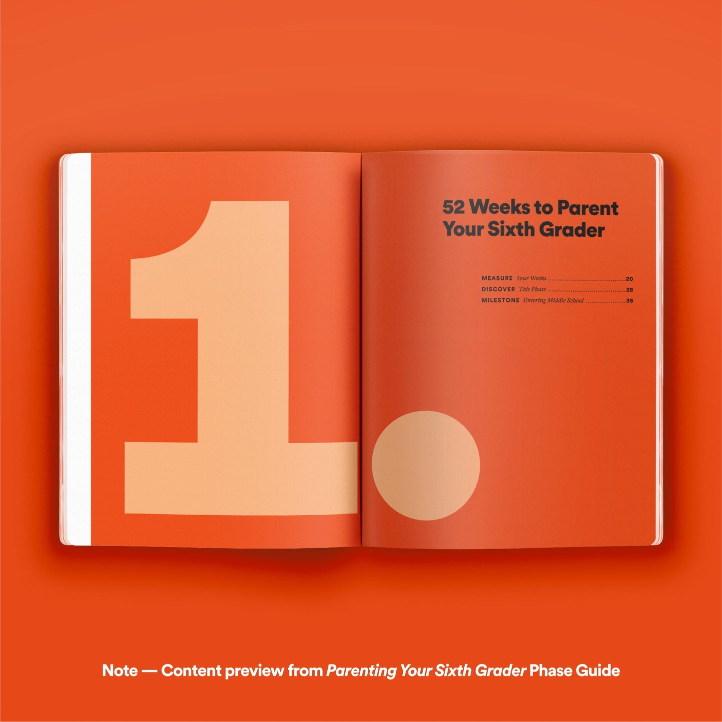 Phase Guide - Parenting Your Eighth Grader: A Guide to Making The Most of the "Yeah . . . I Know" Phase