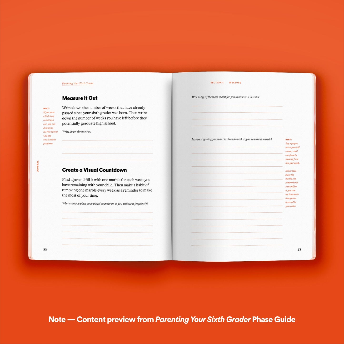 Phase Guide - Parenting Your Eighth Grader: A Guide to Making The Most of the "Yeah . . . I Know" Phase