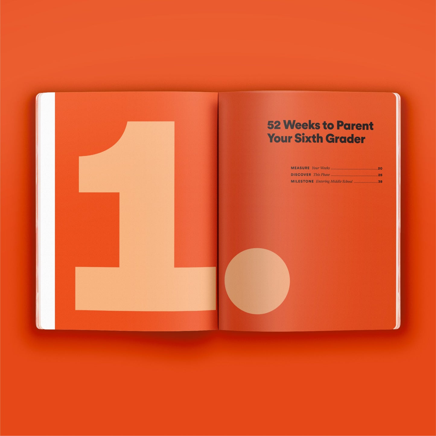 Middle School Phase Guide Bundle - Set of 3 Books