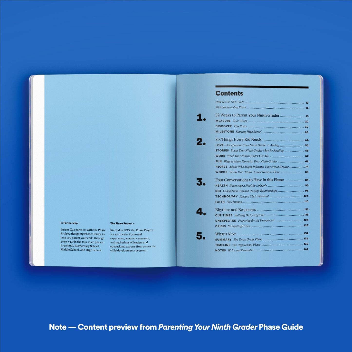 Phase Guide - Parenting Your Twelfth Grader: A Guide to Making The Most of the "What's Next?" Phase