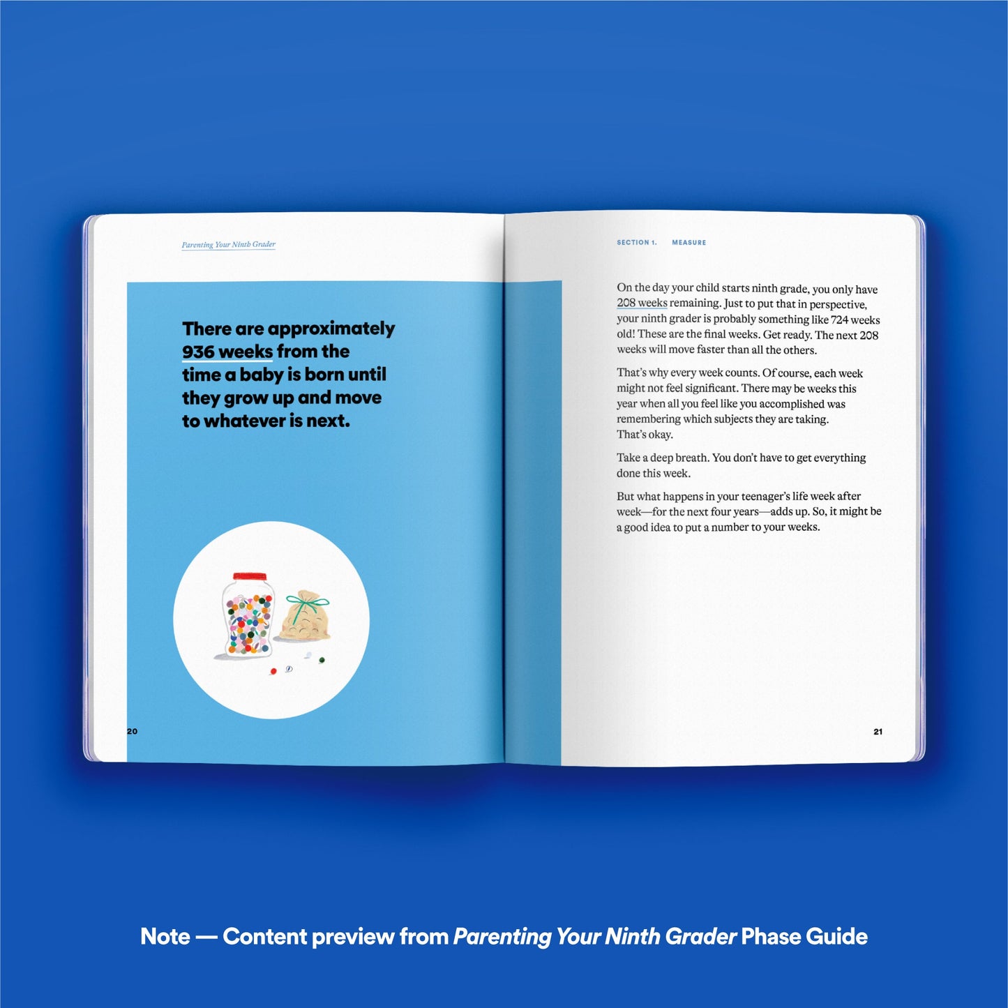 Phase Guide - Parenting Your Twelfth Grader: A Guide to Making The Most of the "What's Next?" Phase