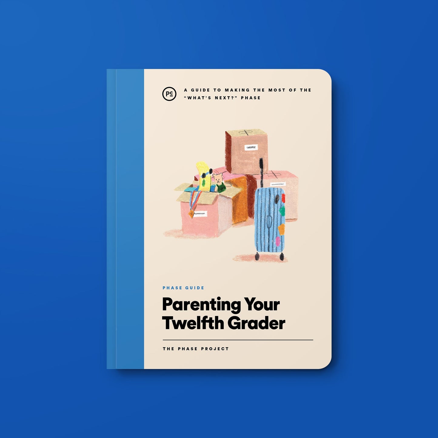 Phase Guide Variety Pack - 18 Books