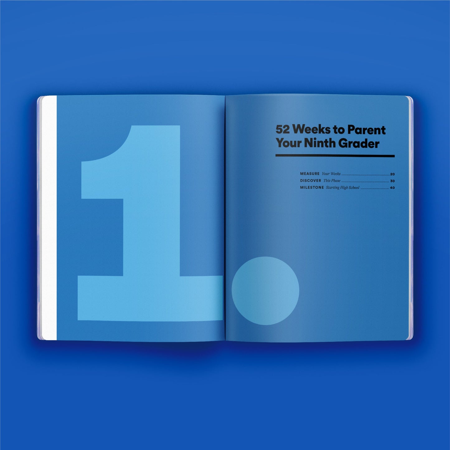 High School Phase Guide Bundle - Set of 4 Books