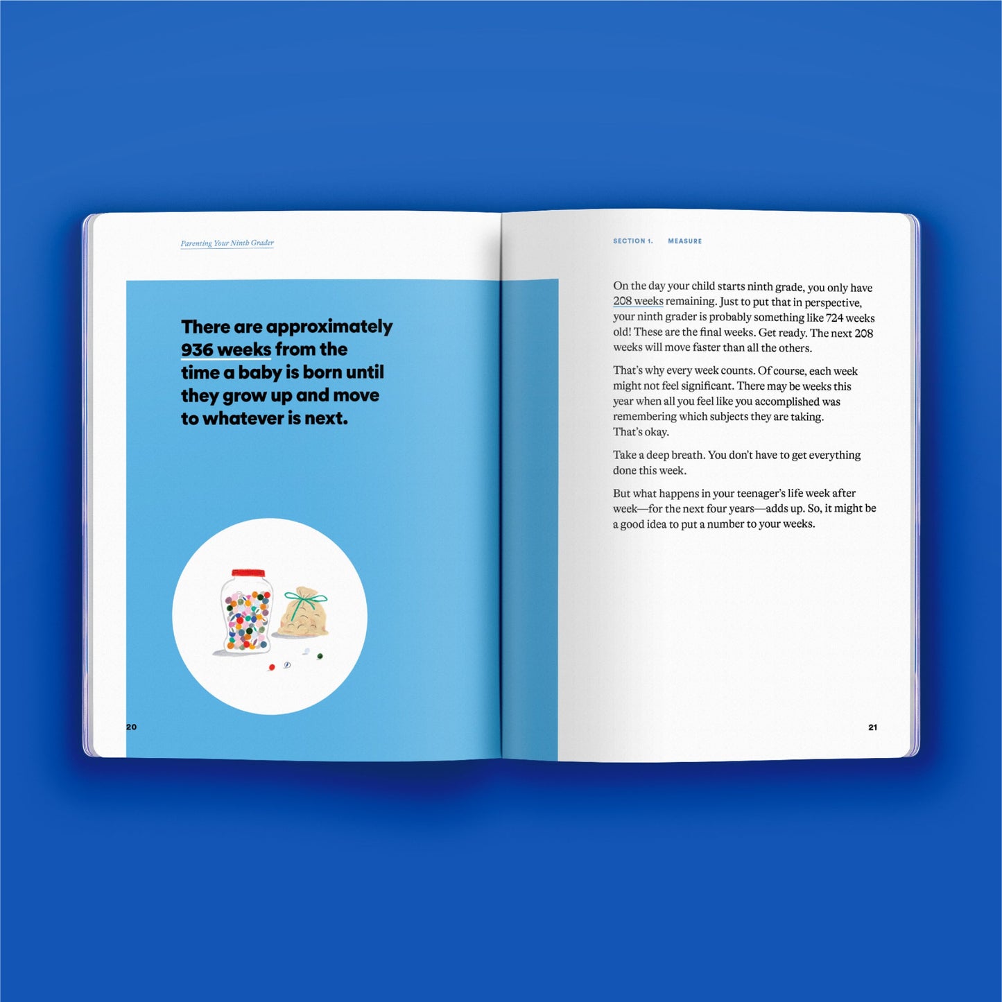 High School Phase Guide Bundle - Set of 4 Books