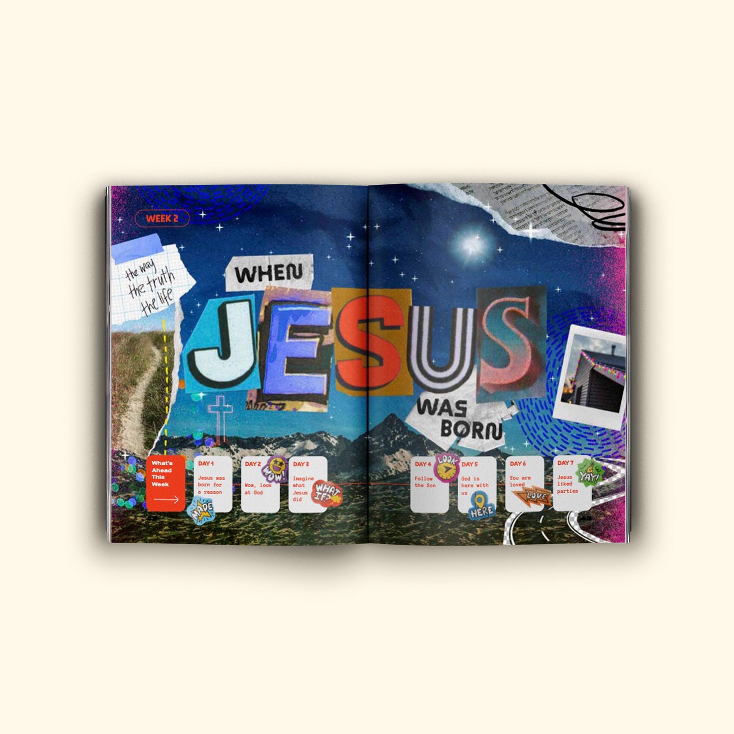 Here to Shine: Born for a Reason. Let's Party! Devotional (Hardcover edition)