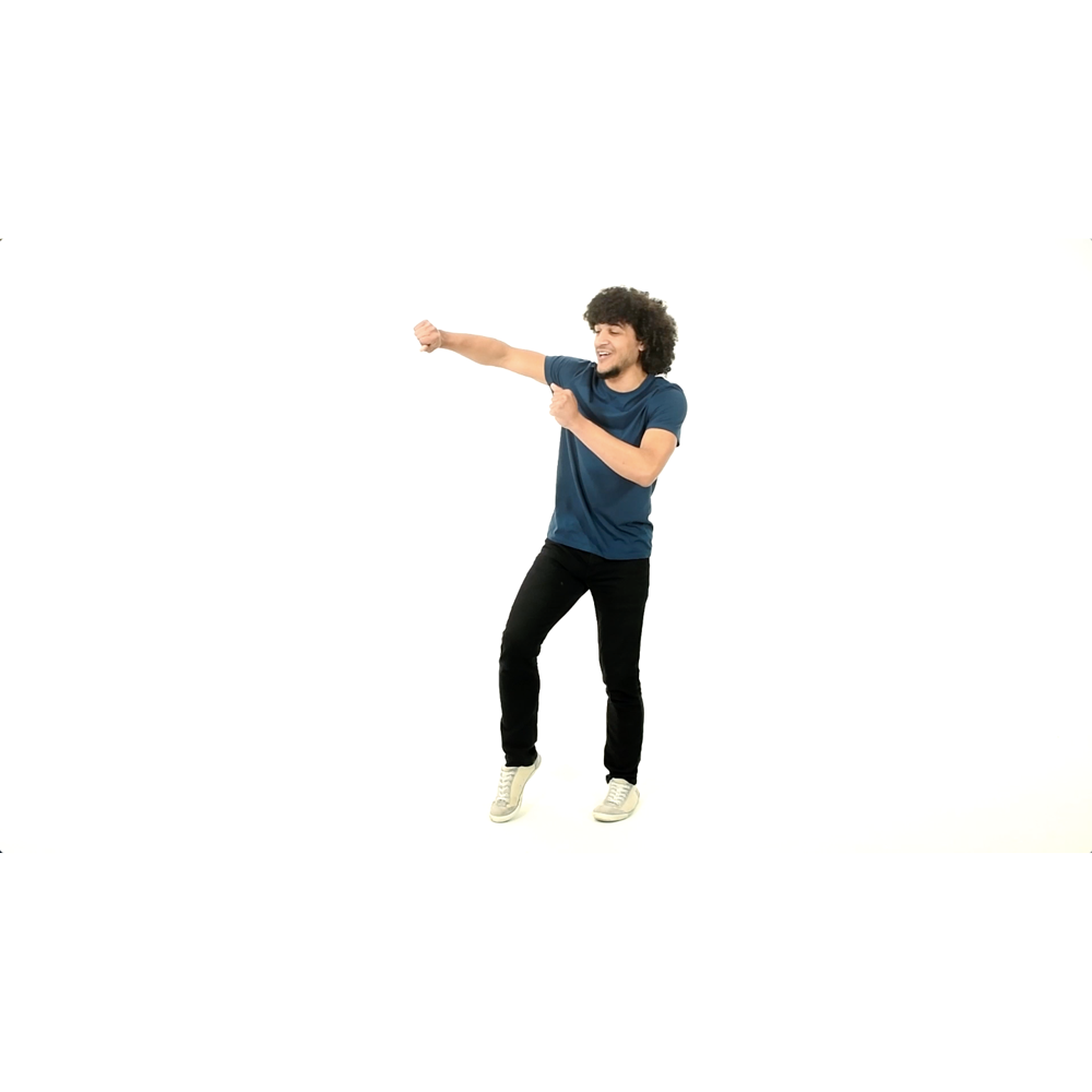 Never Give Up Dance Instructions Video (Download)