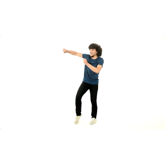 Never Give Up Dance Instructions Video (Download)
