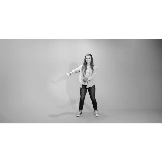 Never Give Up Dance Instructions Video (Download)