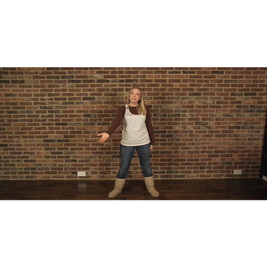 Silent Night Dance Instructions Video (Download)