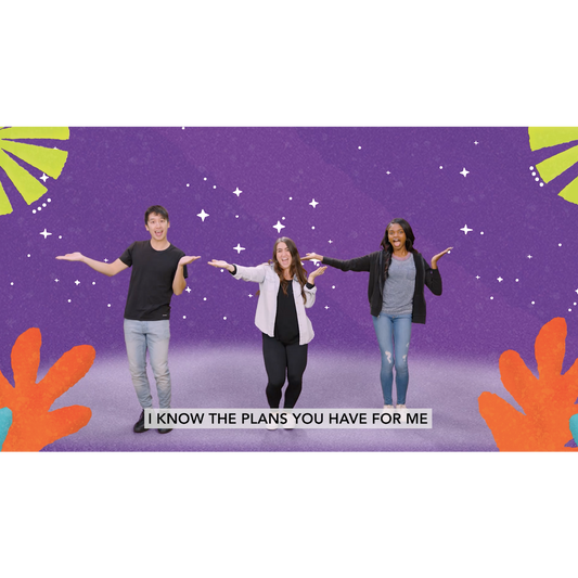 The Plans Music Video (Download)