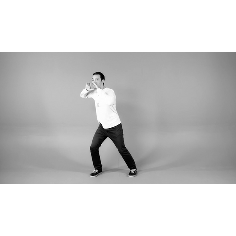 Can't Stop Singing Dance Instructions Video (Download)