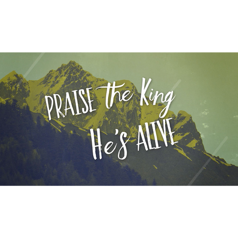 Praise the King Live Lyrics Video (Download)