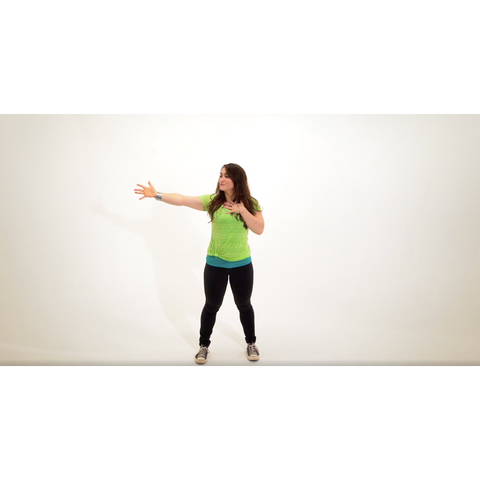 Sons and Daughters Dance Instructions Video (Download)
