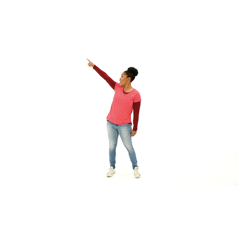 Special Delivery Dance Instructions Video (Download)