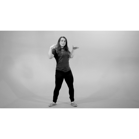 Stop Dance Instructions Video (Download)